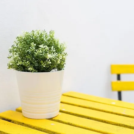 דירה Stylish One Bed Oasis In Historic Centre ליסבון